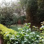 Lisianthus 2Br Apt With Garden View In Maadi